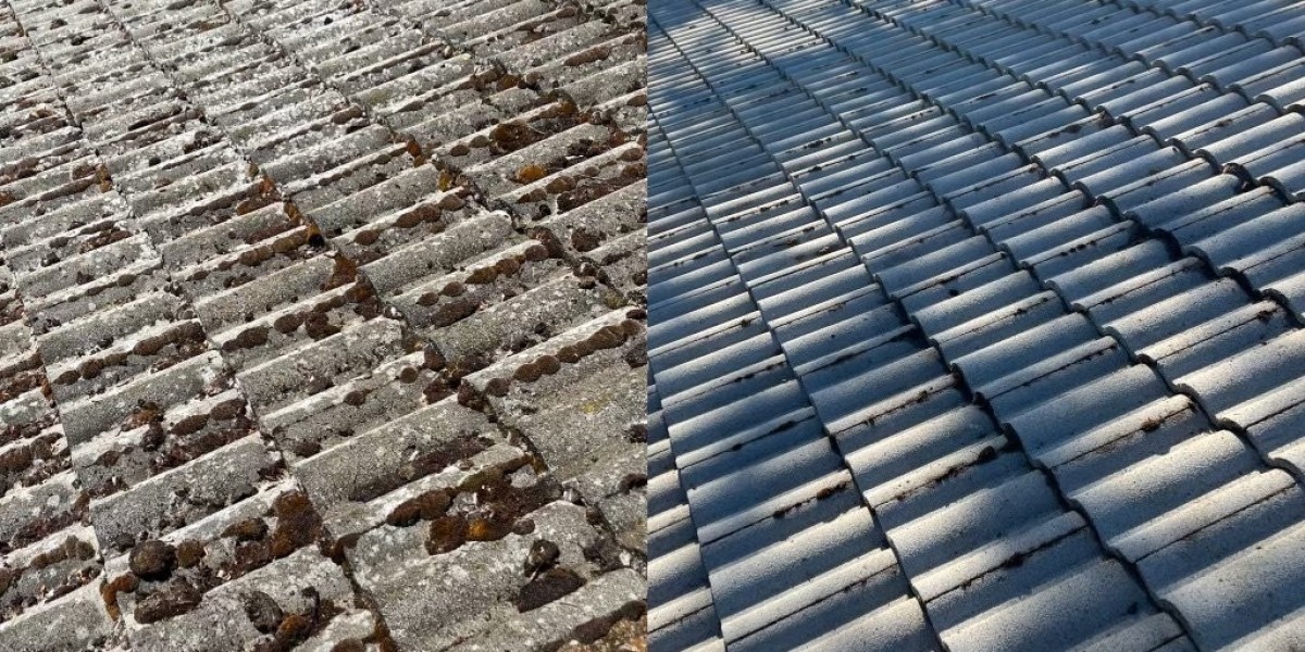 Elevate Your Curb Appeal: Mastering Roof Cleaning for a Fresh Look!
