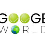 Googe World