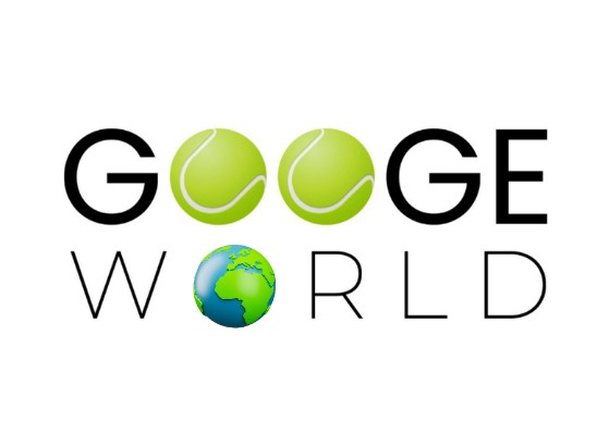 Googe World