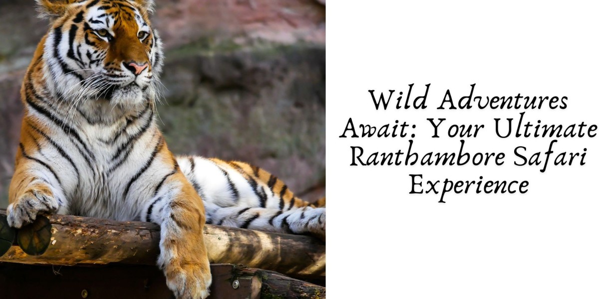 Wild Adventures Await: Your Ultimate Ranthambore Safari Experience