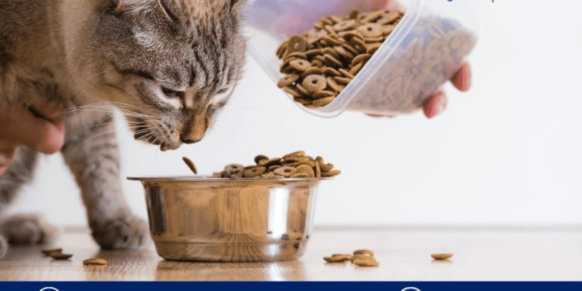 North America Cat Food Market Size, Share, Industry Demand, Growth, Analysis and Report 2024-2032