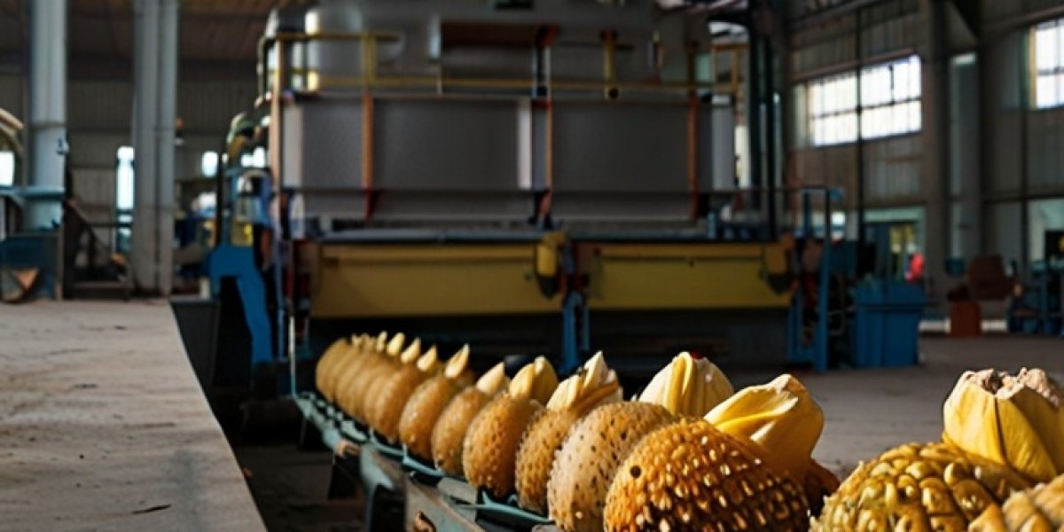 Pineapple Powder Manufacturing Plant Report 2024: Project Details, Requirements and Cost Involved