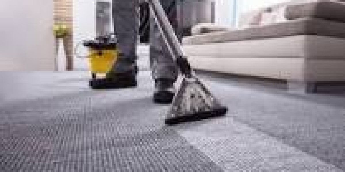 Why Professional Carpet Cleaning Is the Key to a Beautiful Home