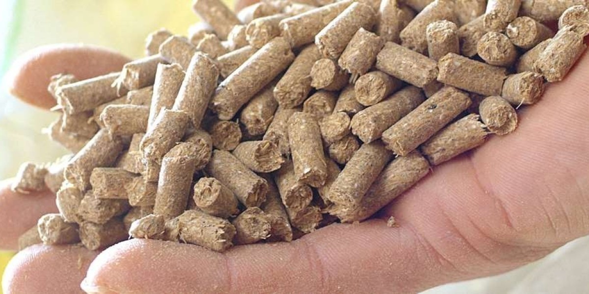 Project Report on Requirements and Cost for Setting up a Dog Food Manufacturing Plant