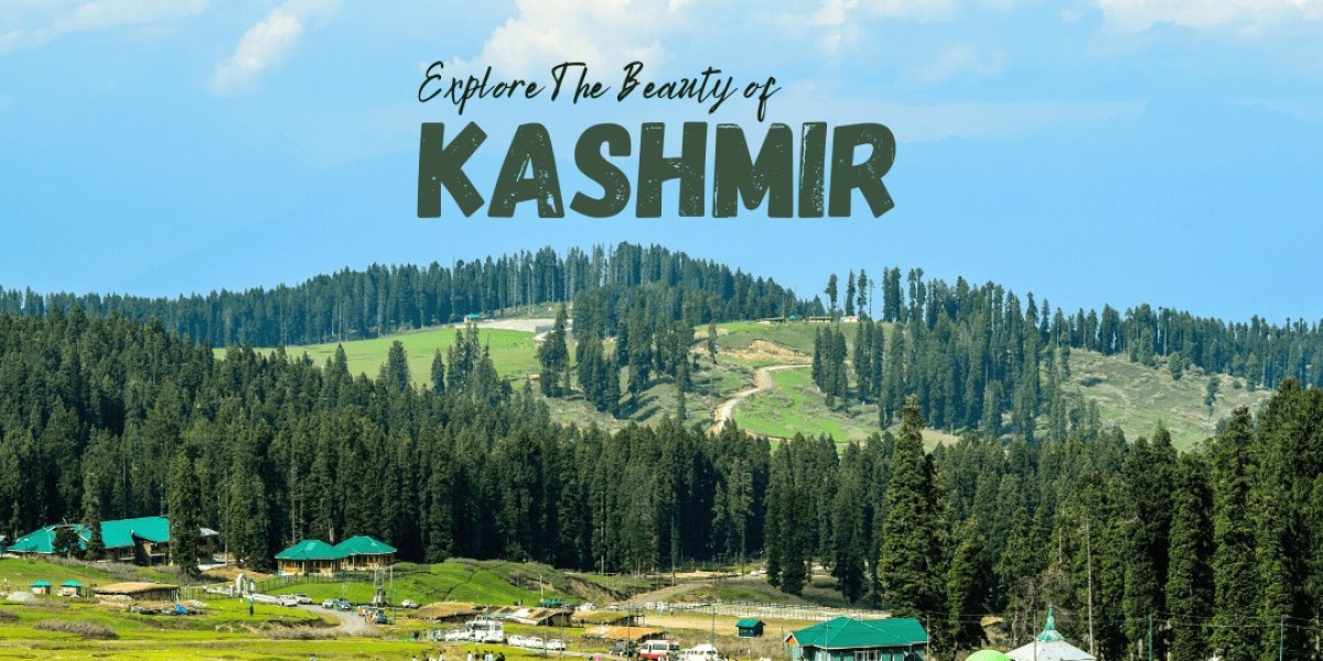 Explore the Magic of a Kashmir Honeymoon with Kashmir Tour Bazaar