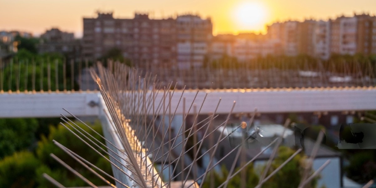 Bird Spikes in Dubai: Defending Dubai's Structures: Why Bird Spikes Are a Must-Have Solution