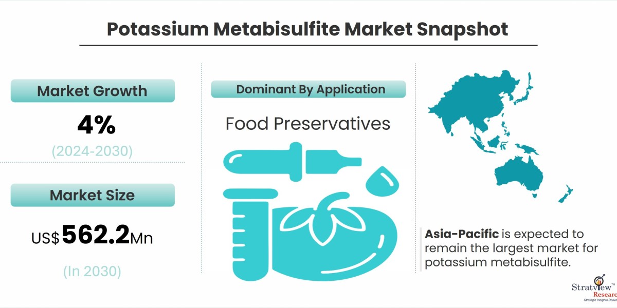 Top Players in the Potassium Metabisulfite Market: Competitive Landscape and Strategies