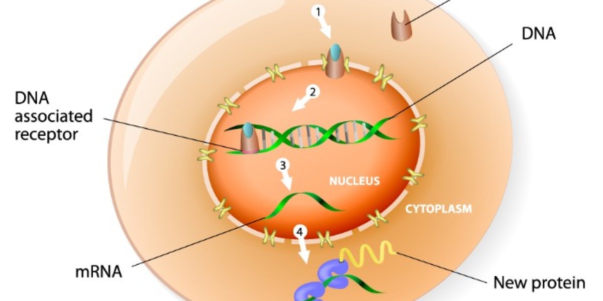 How to Detect Steroid Hormones?