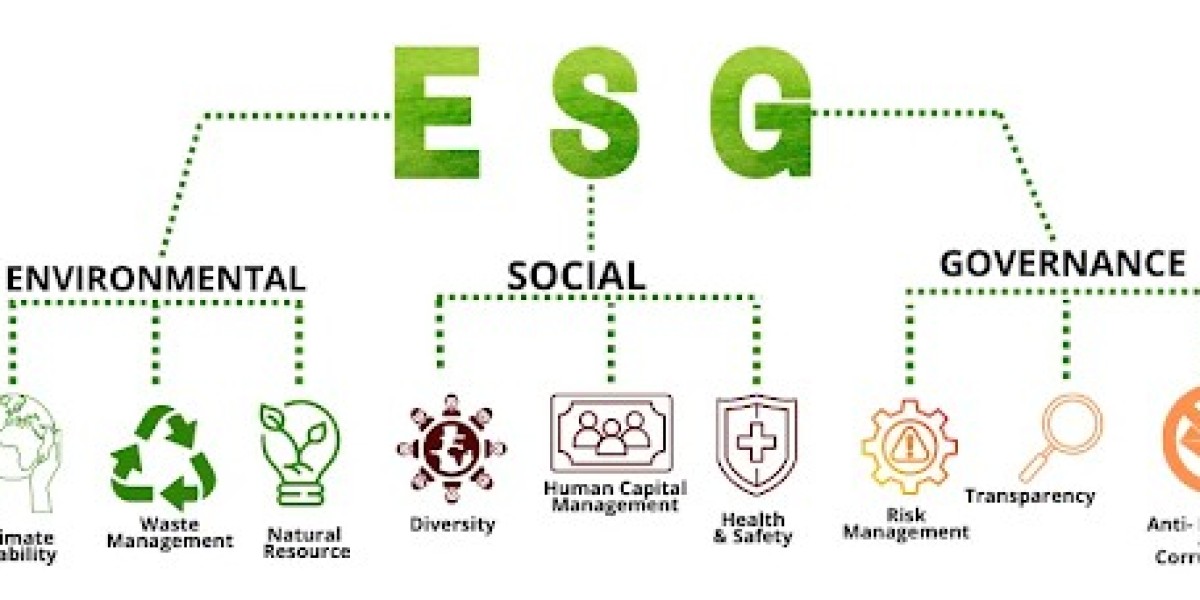 ESG Data Collection: How To Implement This Strategy In Your Organization