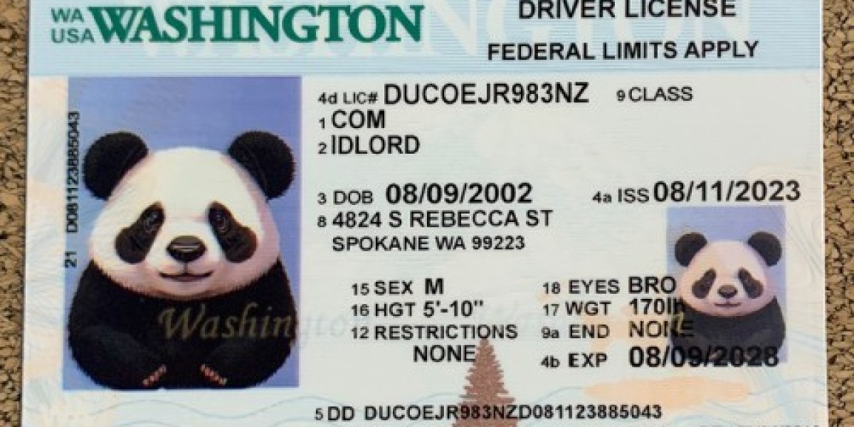 Unlock the Secrets Your Ultimate Guide to the Fake Washington State Driver’s License