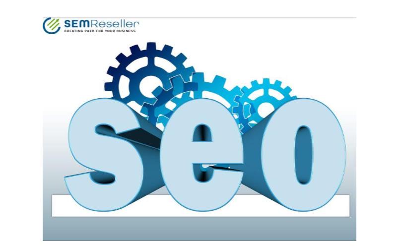 Small Business SEO Services vs. Enterprise SEO Services: What’s the Difference  - ??????????