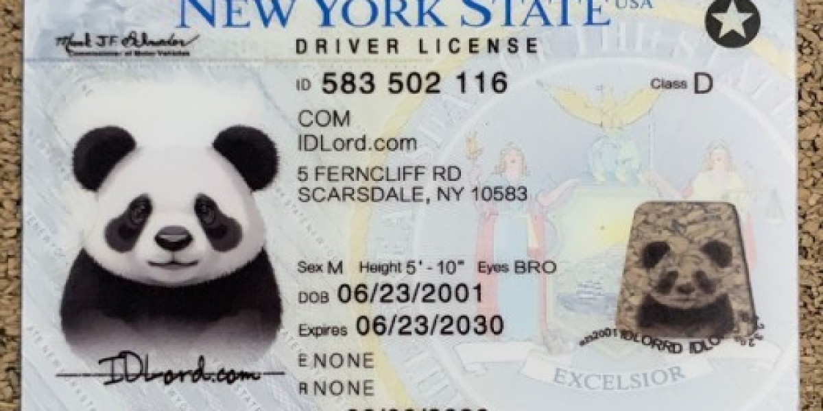 Unlocking New Horizons: The Power of a New York State ID