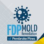 FDP Mold Remediation of Boca Raton