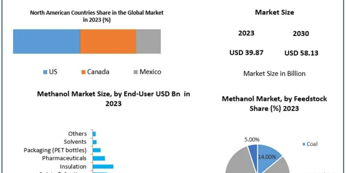 Methanol Market Growth Paradigm: Trends, Size, Share, and Opportunities in 2024-2030