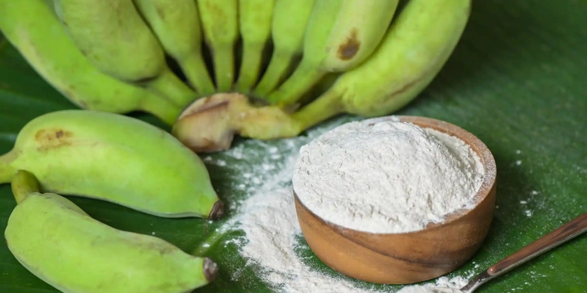 Guide to Setting Up a Banana Powder Manufacturing Plant