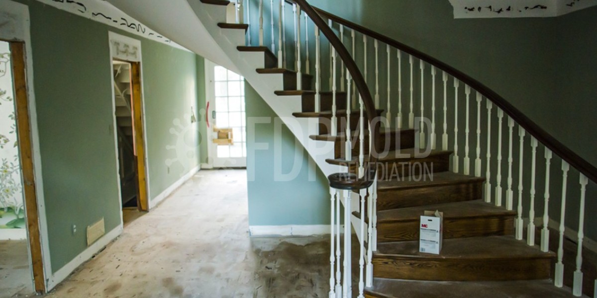 Mold Remediation and Testing: Protect Your Health and Home