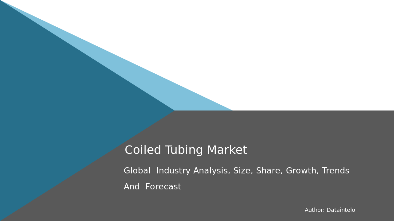 Coiled Tubing Market Share, Opportunities & Forecast [2032]