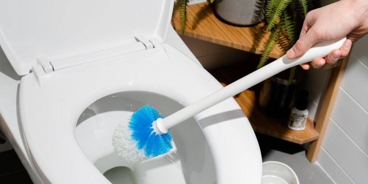 Establish a Profitable Toilet Bowl Cleaner Manufacturing Plant