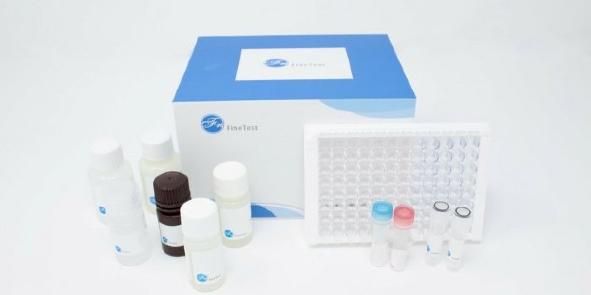 Tissue Inhibitors of Metalloproteinase 1 (TIMP-1) ELISA Kit Market Size, Trends, Forecast Research