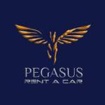 Pegasus Rental