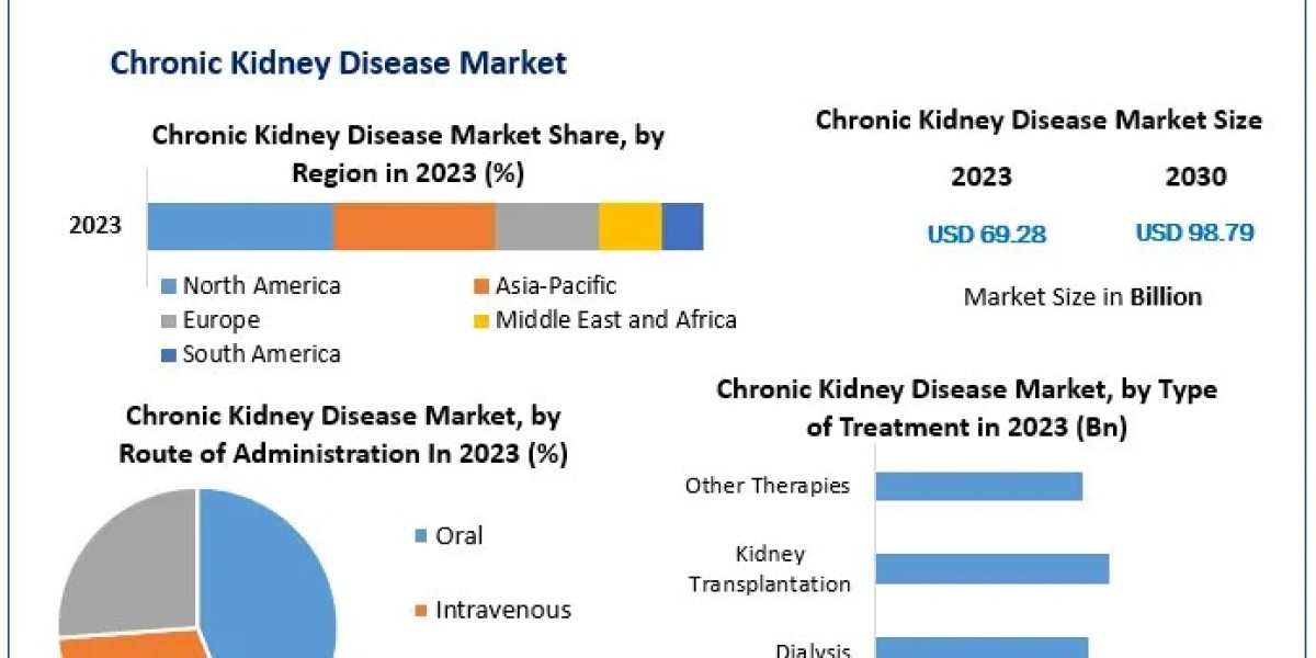 Chronic Kidney Disease Market Metrics Matrix: Exploring Size, Share, Revenue, and Statistics Overview | 2024-2030