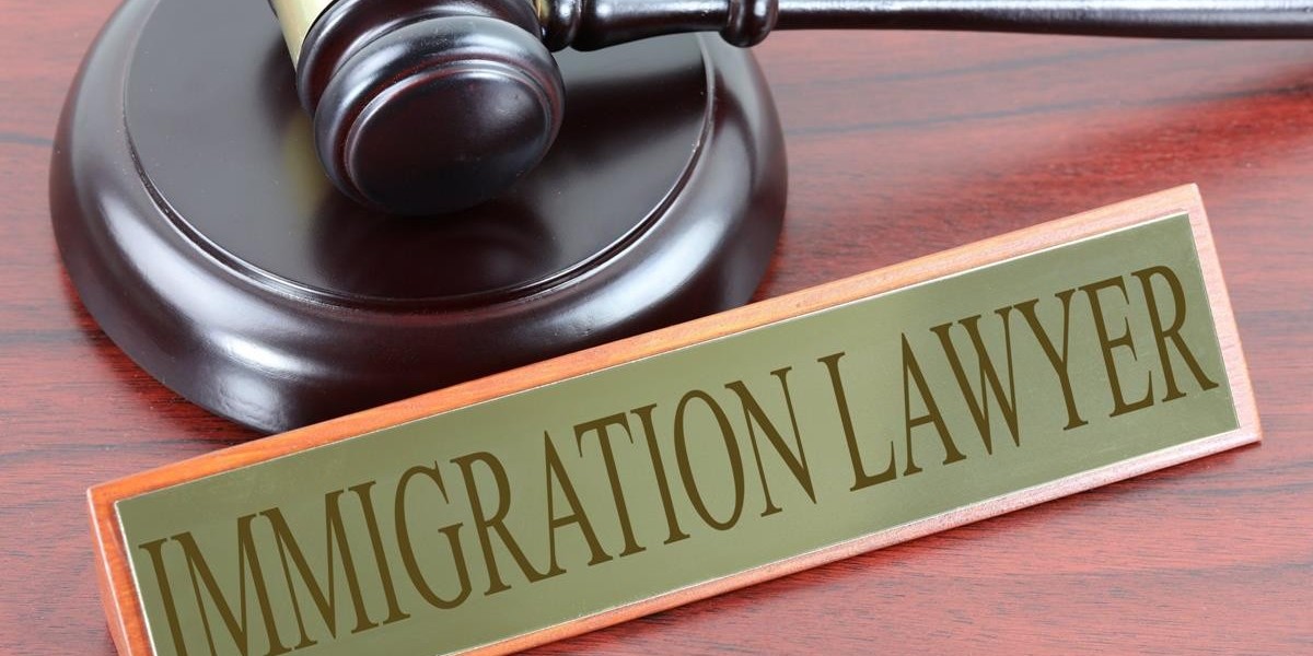 Top Tips for Selecting the Perfect Immigration Solicitor in Ireland