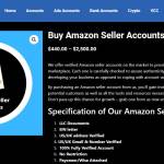 Buy Amazon Seller Accounts