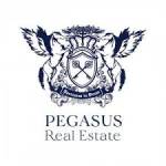 Pegasus Real Estate