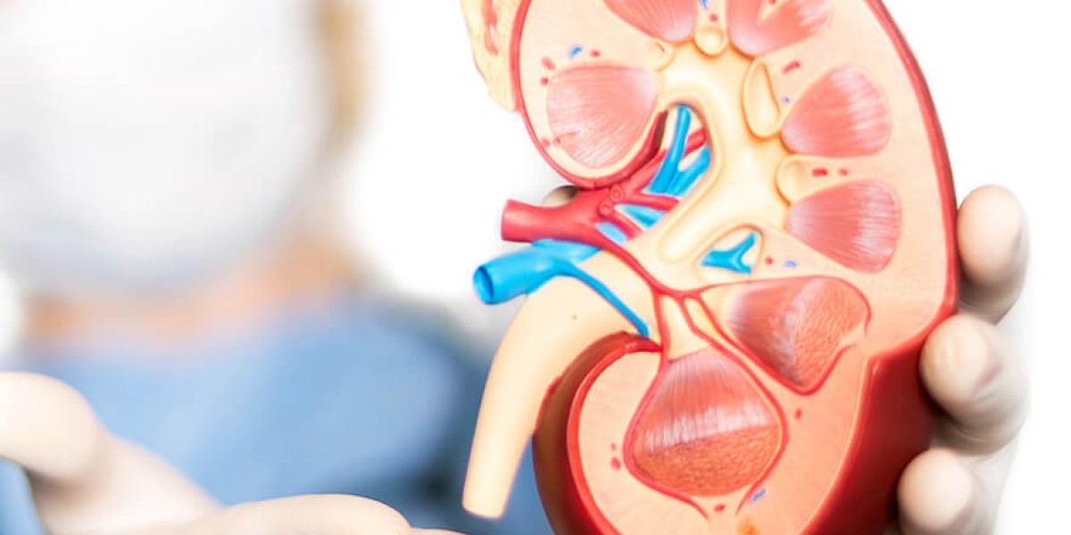 Top Nephrologists in Mumbai: Expert Care for Optimal Kidney Health