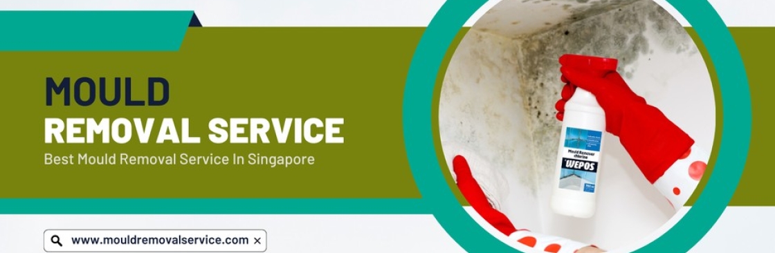 Mould Removal Services mouldremovalservice