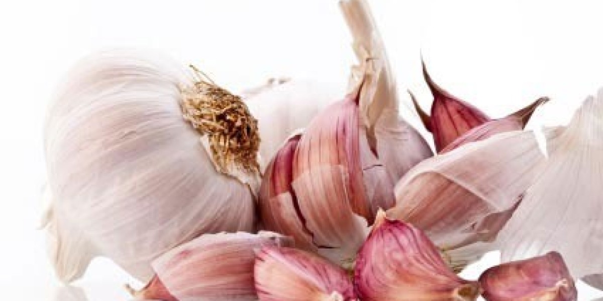 Detail Project Report: Setting up a Garlic Processing Plant Edition 2024, Cost and Revenue