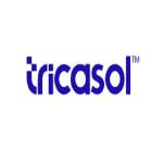 Tricasol IT Company