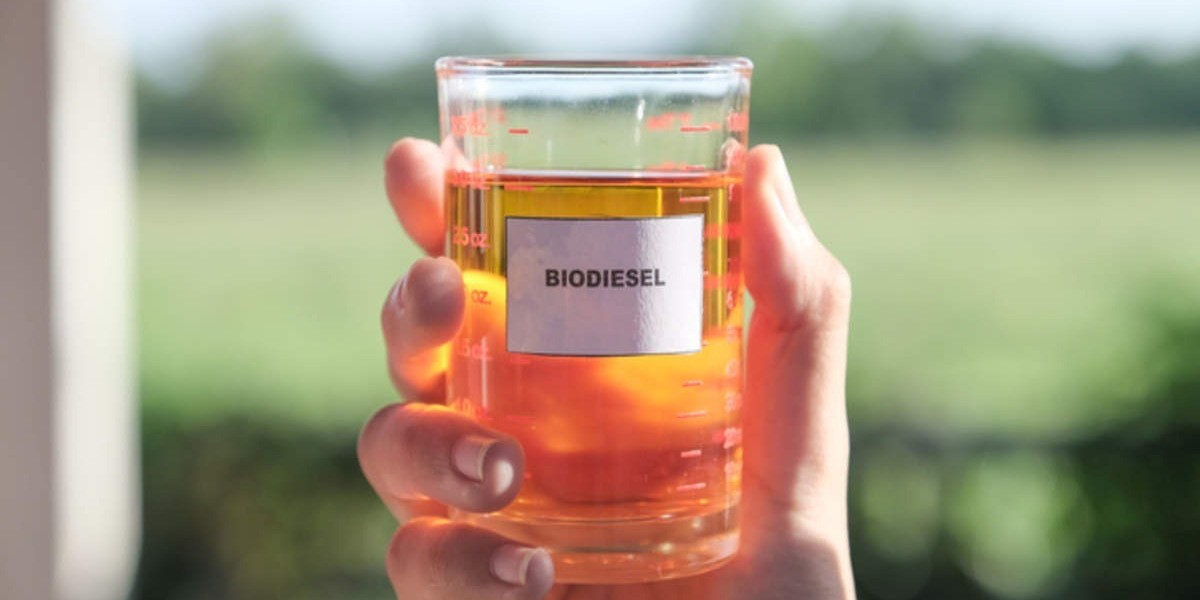 Establish a Biodiesel Manufacturing Plant: Cost Analysis and Operations