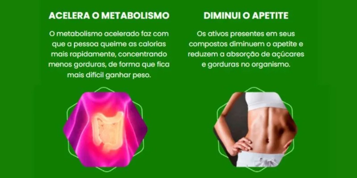 Transforme Seu Corpo: As Melhores Dietas para Emagrecer Rápido e Eliminar a Barriga