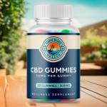 Happy Place Health CBD Gummies