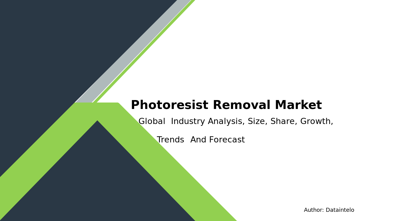 Photoresist Removal Market Research Report 2032