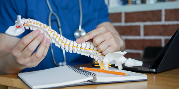 Finding Your Ideal Chiropractor – A Simple Guide – Upper Cervical Chiropractic