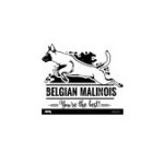 Trained Belgian Malinois Puppies