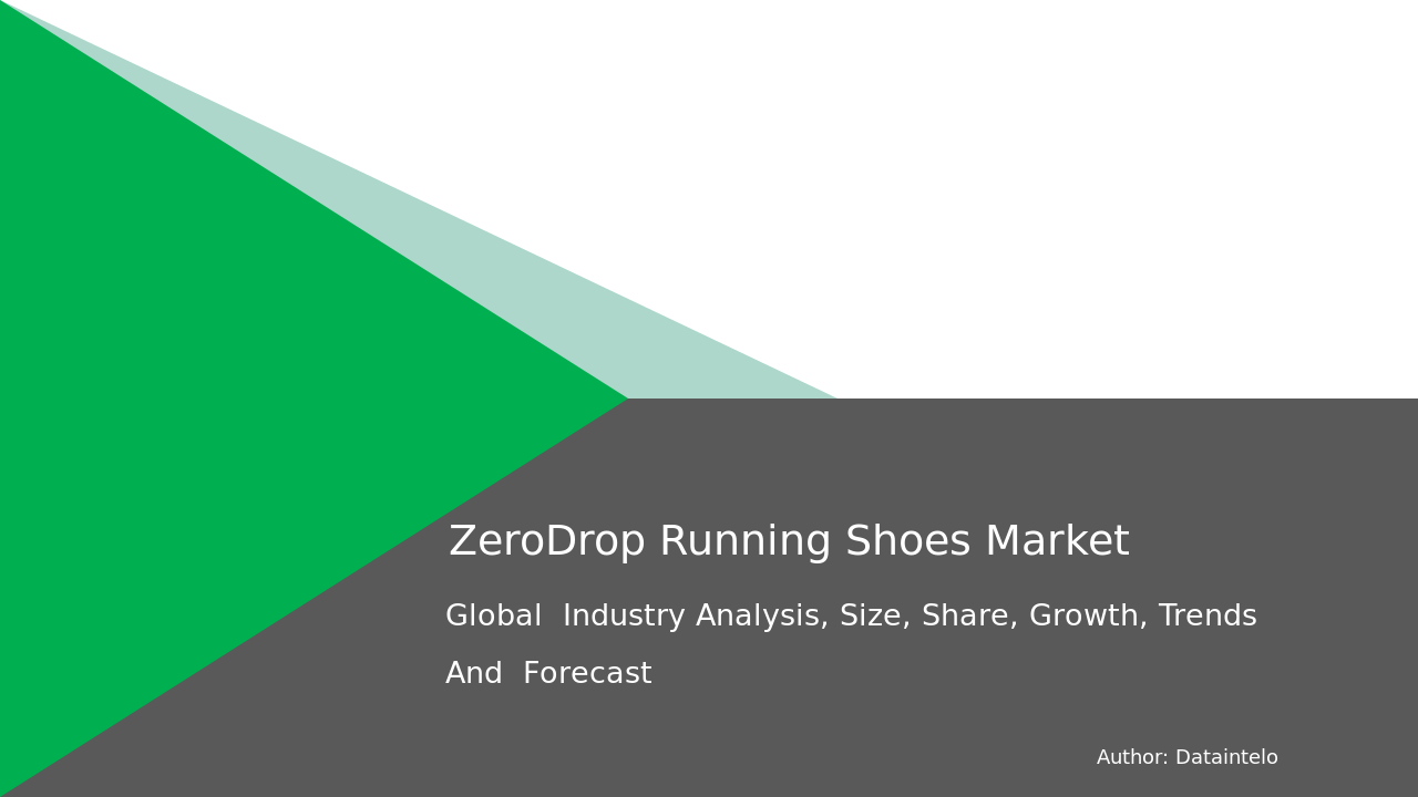 Request For Sample of Zero-Drop Running Shoes Market Research Report 2032