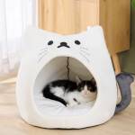 Cat beds