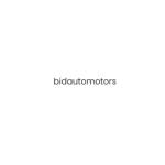 bidautomotors