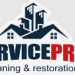 Service Pro LLC