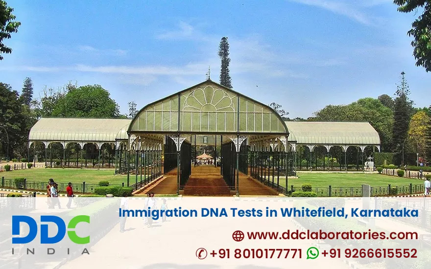 Immigration DNA Tests in Whitefield, Bangalore