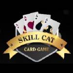 skillcat game