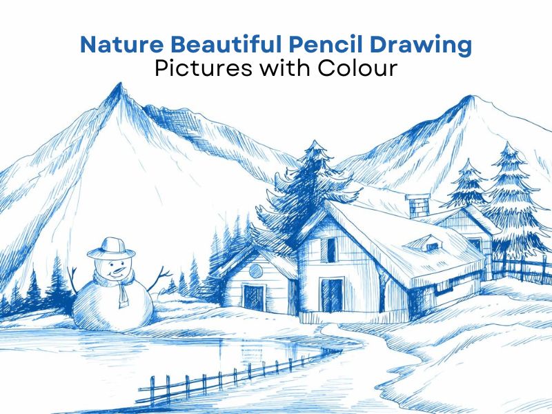 Nature Beautiful Pencil Drawing Pictures with Color | BsyBee Design