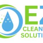 EZ Clean solution