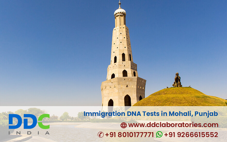 Immigration DNA Tests in Mohali, Punjab - Affordable Testing Cost