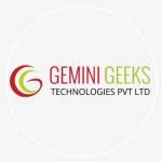 The Gemini Geeks technologies