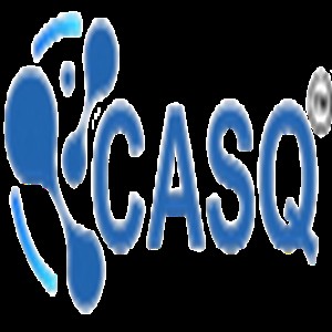 CASQ infotech