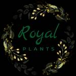 Royal Plants